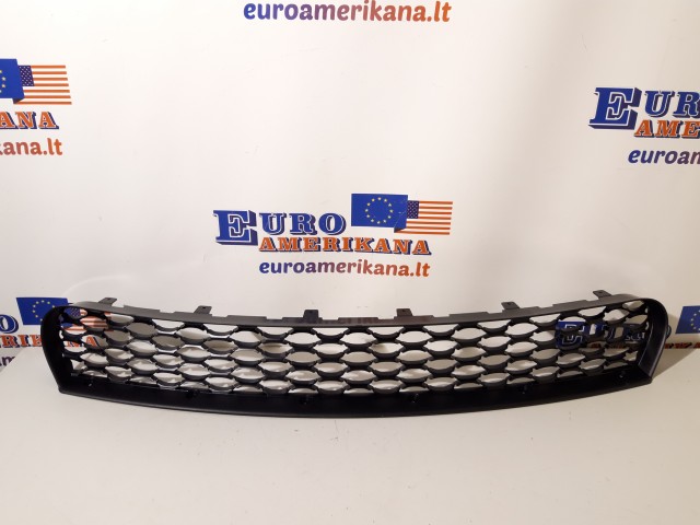 Lower Grille